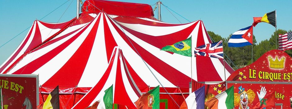 Dorfprojekt gipfelt in einer grandiosen Zirkusvorstellung