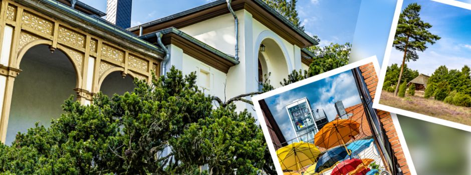 Fotowettbewerb „Sommer in Soltau“