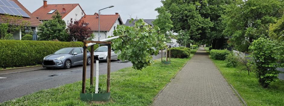 Baum-Randale in Nierstein
