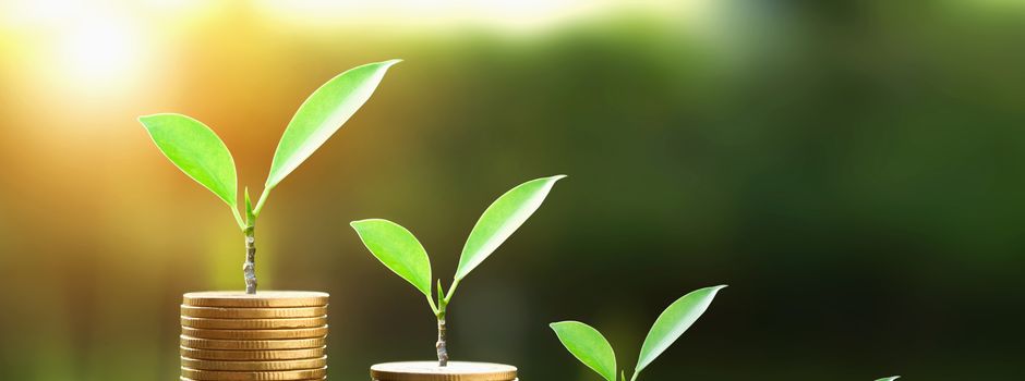 Rund 137.000 Euro für „Mehr Grün im Dorf“ in Stetten