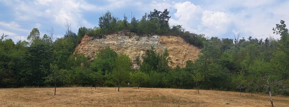 Versteckte Orte in Mainz: Aus Steinbruch wird Freilichtmuseum
