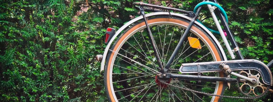 Fahrradtour in Augsburg: Die besten Strecken mit Kindern