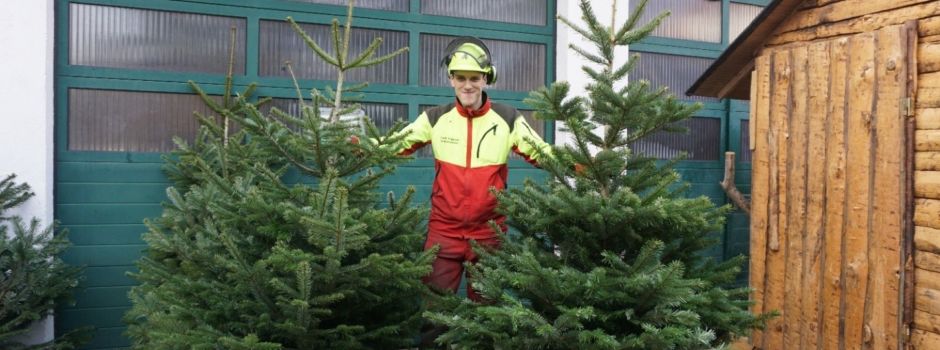 Premiere in Augsburg: Der erste Weihnachtsbaumweitwurf-Wettbewerb findet statt