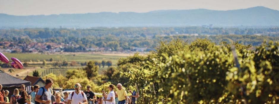Alsheimer Weinwandern: Hohlwege, Wein und Genuss am 20. September