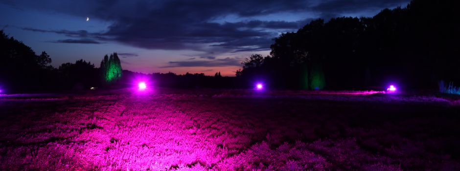 „Heidezauber 2019“: Kurzer Film zeigt Licht- und Klanginstallationen