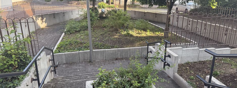 Umfrage: Umgestaltung Bereich Saalgangstraße