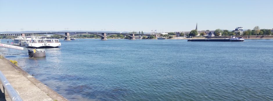 Großeinsatz in Mainz: Person in Rhein gemeldet