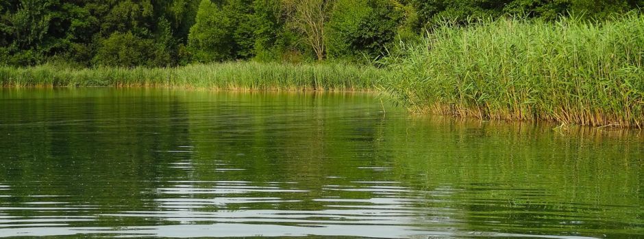 aktualisierte Wasserqualitäten an unseren Badestellen in Pinnow