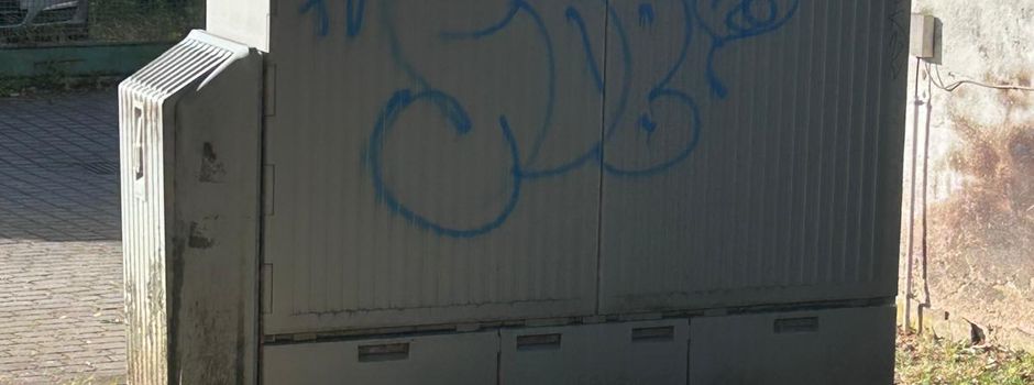 Graffity-Sprayer in Schalkenbach unterwegs