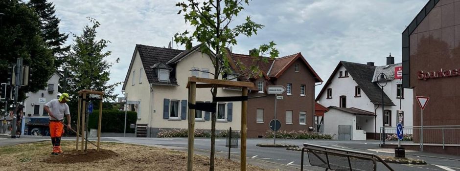 Neue Bäume für Assenheim