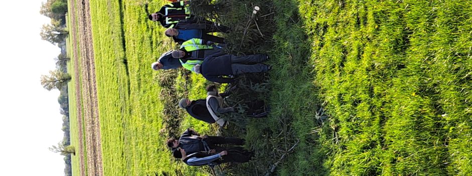 Start des Maibaumfest