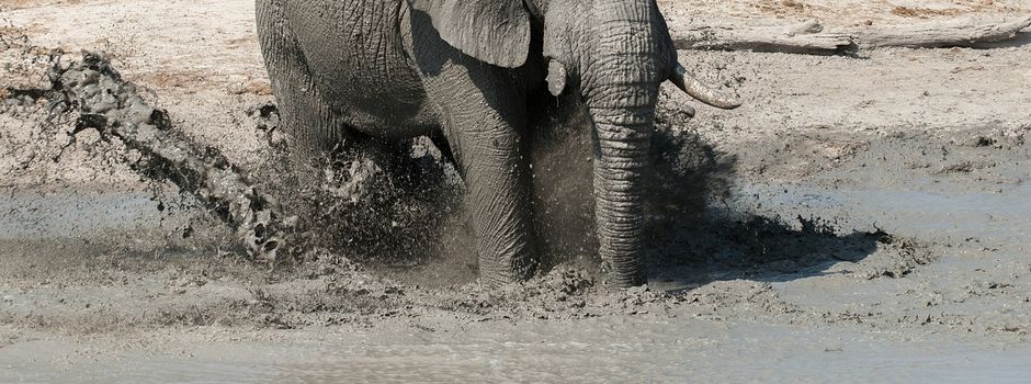 Wasserolympiade