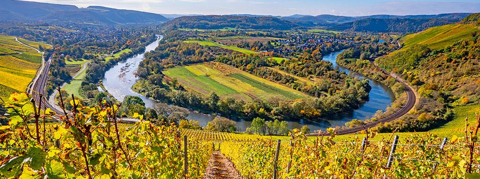 Weinwanderung Wiltingen