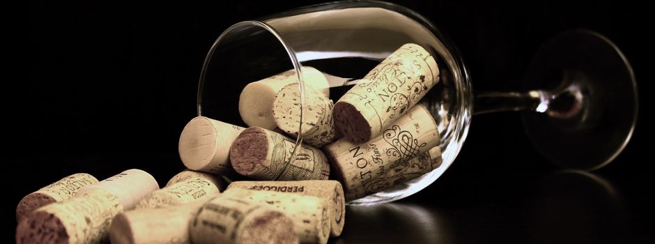 Weinprobe in Beierstedt 
