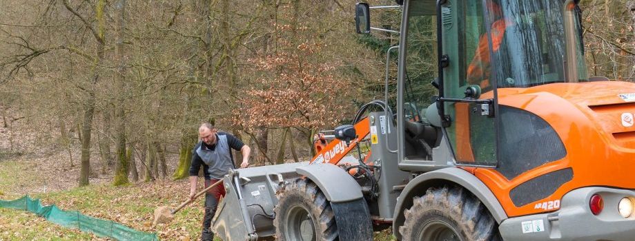 Frösche und Kröten unterwegs: Hier müssen Autofahrer jetzt aufpassen