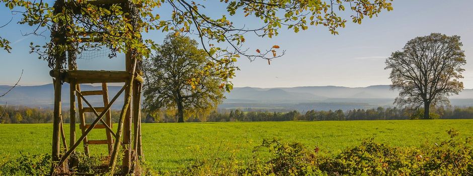 Einladung zur Jahreshauptversammlung