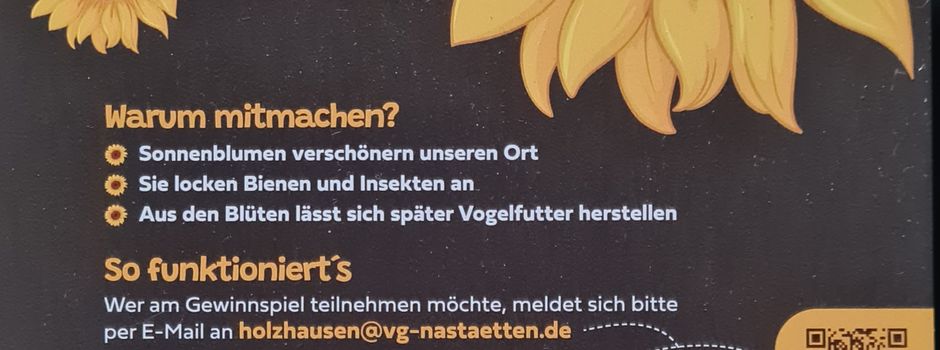 Sonnenblumenwettbewerb