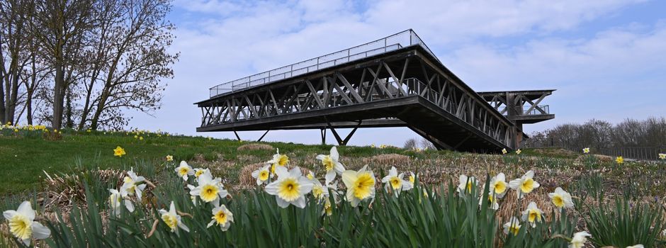 Sorge um Statik: Beliebter „Rhein-Mosel-Blick“ in Koblenz ist gesperrt