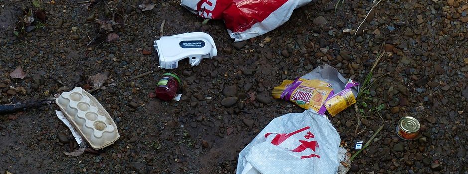 Müllsammelaktion Horst 2026