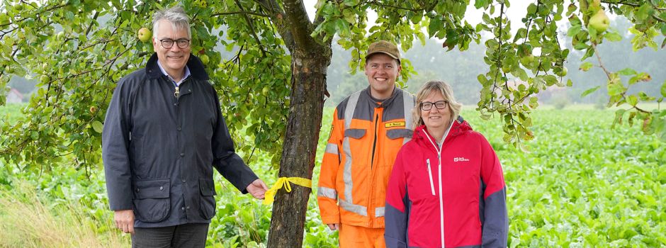 Keine „verbotenen Früchte“: Stadt Soltau beteiligt sich erstmals an Ernteaktion
