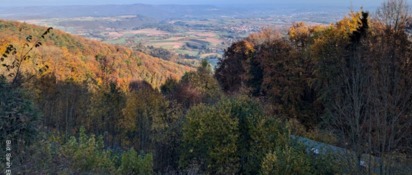 Klimaanpassung im Werra-Meißner-Kreis – Gemeinsam vorsorgen!