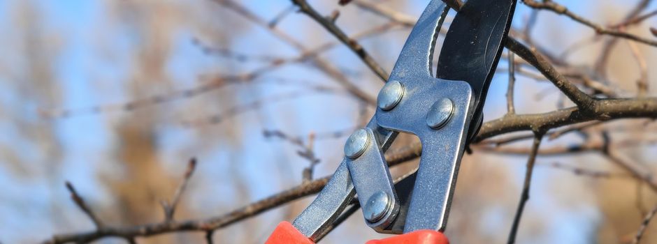 Baumschnittkurs in Windsberg