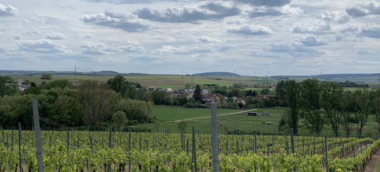 Die Gemeinde Badenheim