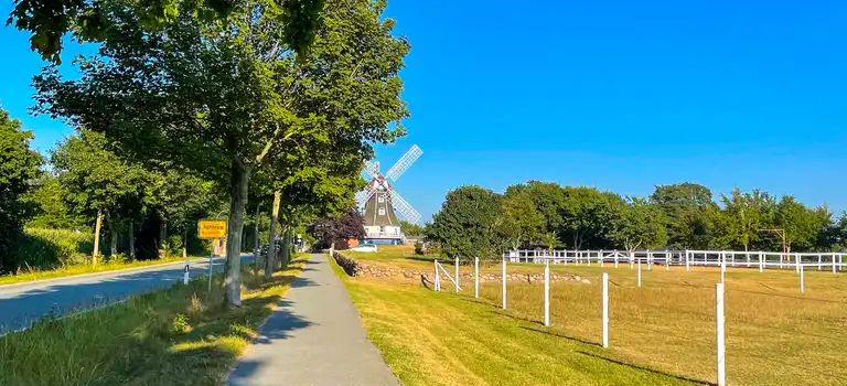 UPDATE (Bürgerstiftung) Das ist neu im Dorf: Halteverbot, mehr Sicherheit, die Dorffahnen sind da und Brennholz für den guten Zweck