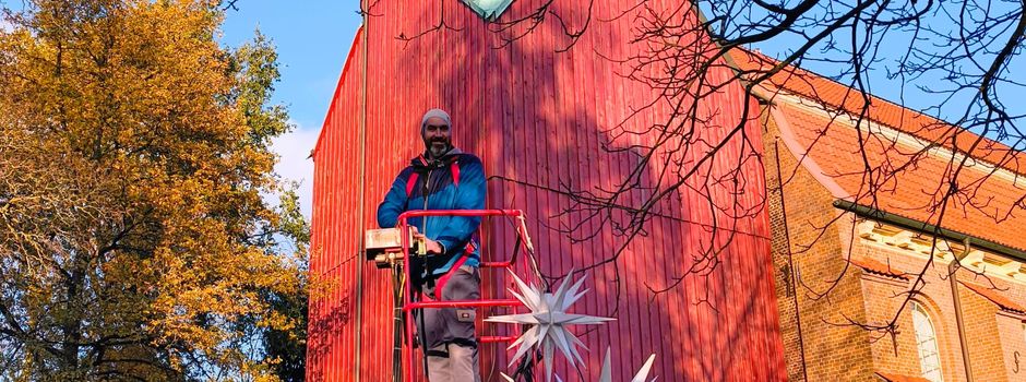Lichterglanz im Advent: Die Weihnachtssterne haben wieder ihren Platz in den Bäumen