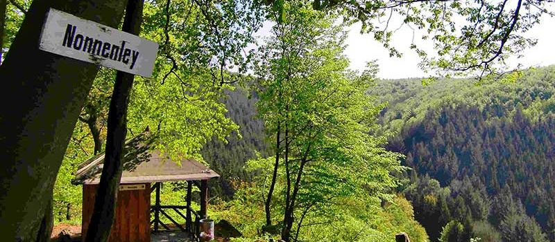 Wandern rund um Rengsdorf