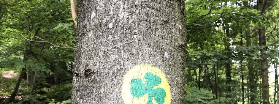 Der Kneipp-Kleeblatt-Wanderweg zwischen Dannenfels, Jakobsweiler und Bennhausen

