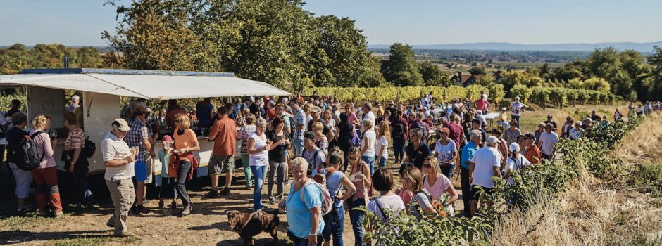 Standbetreiber gesucht für die älteste Weinwanderung!