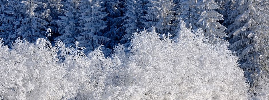 28. Sitzung der Gemeindevertretung