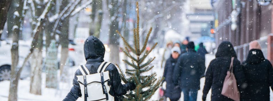 Weihnachtsbaum Sammelaktion und -weitwurf
