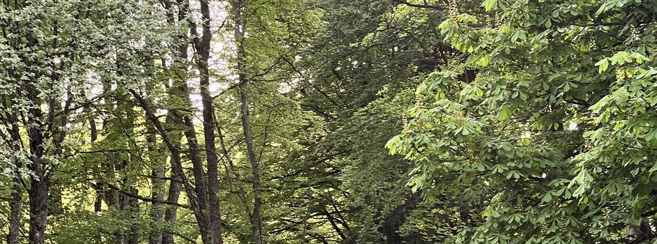 Nachhaltige Stromversorgung Dank PV Insellösung