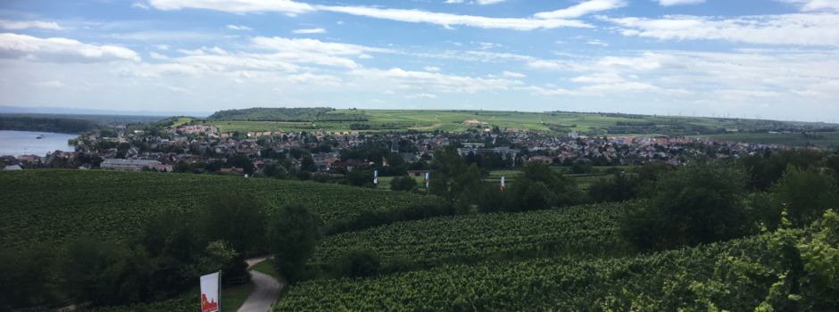 „GenießerTour Roter Hang“ am 29. Juni in Nierstein
