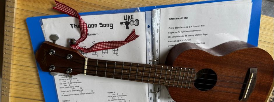 Mit Ukulele auf Intensivstation