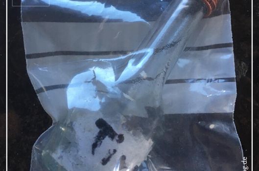 Drei Zwingerhunde in Clarholz vergiftet