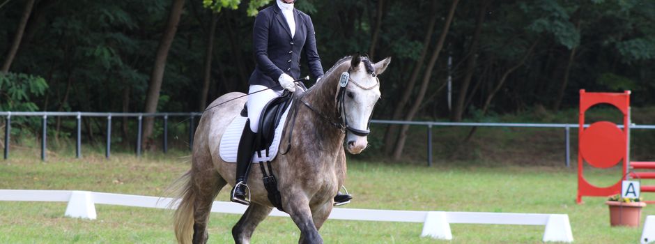 Strahlender Reitsport in Buckau