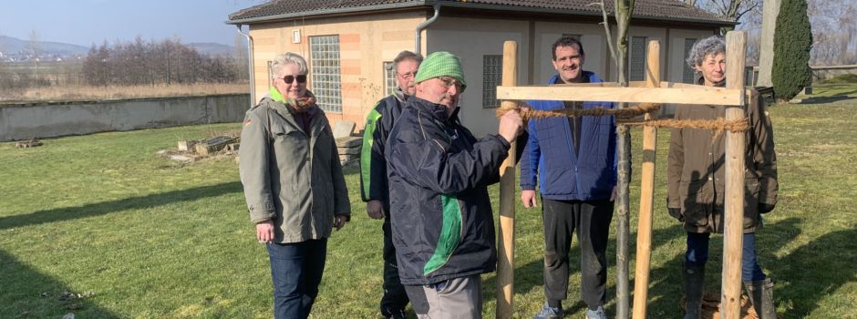 Neue Bäume für den Friedhof