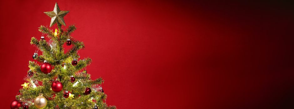 Weihnachtsbaumverkauf am 17.12.