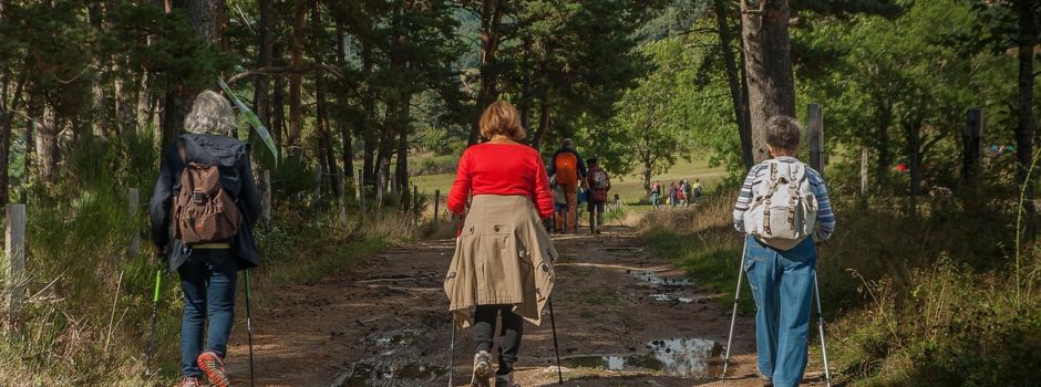 Wanderung zu den Bliesgauer Felsen