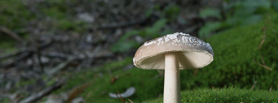 Kinderfreizeit der Wilhadigemeinde vom 3. bis 5. Mai 2024