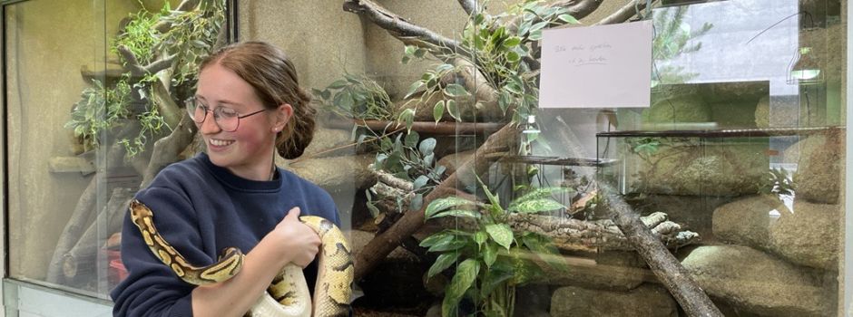 Zwischen Schimpansen und Reptilien: Interview mit Tierpflegerin des Augsburger Zoos