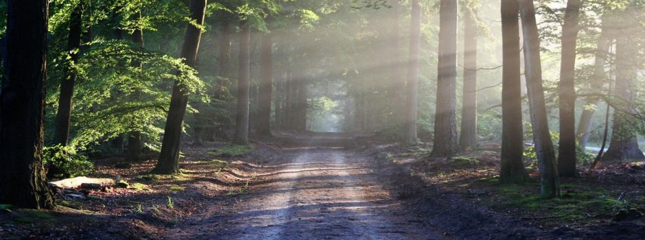 Aktion saubere Landschaft am 12.04.2025, 09.00 Uhr