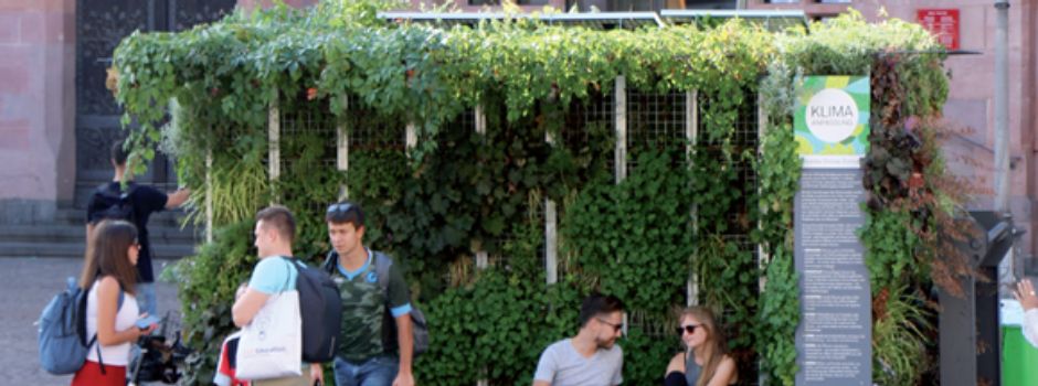 Was es mit den Grünen Zimmern in der Wiesbadener Innenstadt auf sich hat