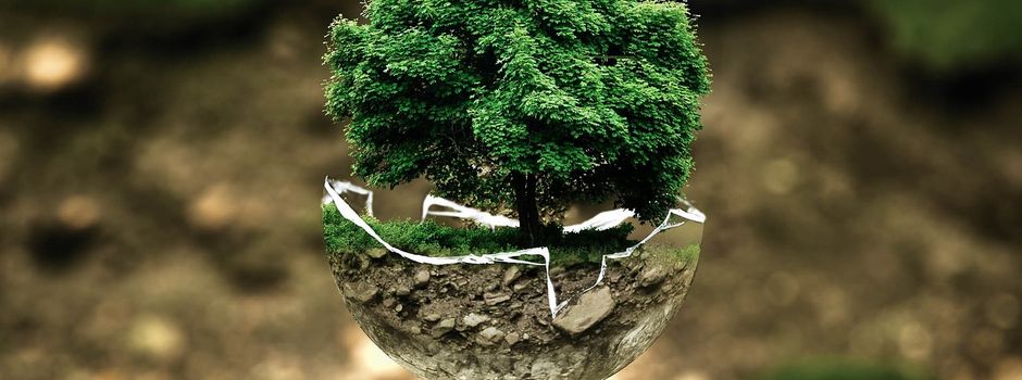Umwelt-News