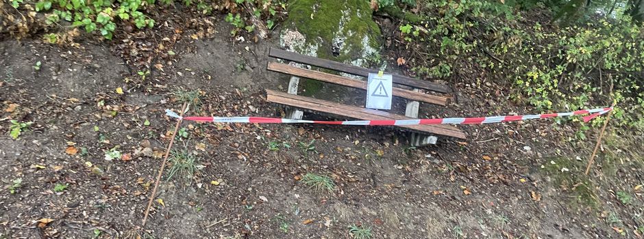 Achtung ein Hornissennest (Einheimische) befindet sich hinter der Bank in der Hart !