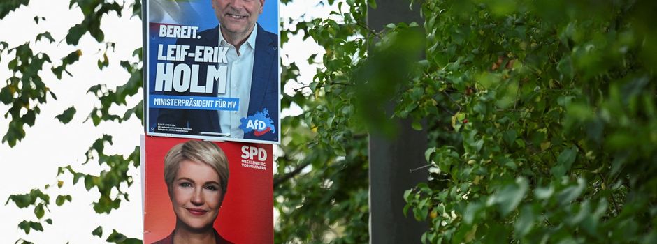 So hat Wulkenzin gewählt