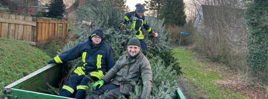 Sammeln der Tannenbäume für das Fest am 11.01.25
